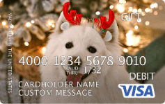 Visa gift cards Visa gift cards