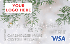 Visa Reward Card Visa Reward Card