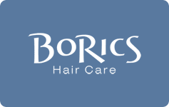 BoRics Logo